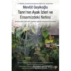 Tanrının Ayak İzleri ve Ensemizdeki Nefesi - Mevlüt Geyikoğlu - Cinius Yayınları