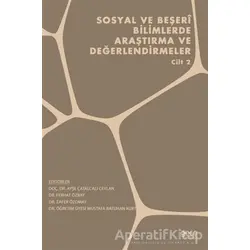 Sosyal ve Beşeri Bilimlerde Araştırma ve Değerlendirmeler - Cilt 2