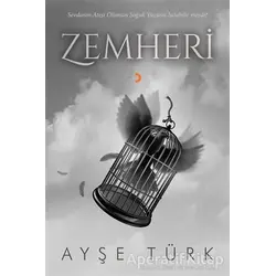 Zemheri - Ayşe Türk - Cinius Yayınları
