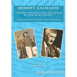 Mehmet Çalmaşur Türküleri Yüreklere Nakış Gibi İşleyen Bir Erzurum Beyefendisi