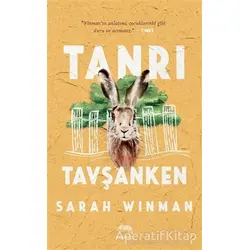Tanrı Tavşanken - Sarah Winman - Yabancı Yayınları