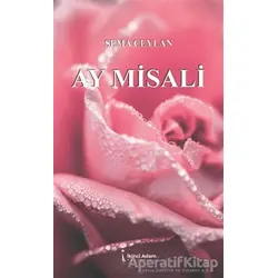 Ay Misali - Sema Ceylan - İkinci Adam Yayınları