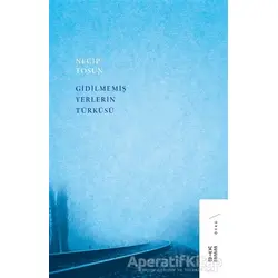 Gidilmemiş Yerlerin Türküsü - Necip Tosun - Ketebe Yayınları