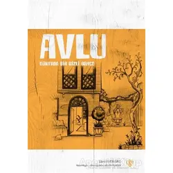 Avlu - Dünyada Bir Gizli Bahçe - Esra Aydınbaş - Türkiye Diyanet Vakfı Yayınları