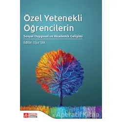 Özel Yetenekli Öğrencilerin Sosyal Duygusal ve Akademik Gelişimi