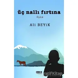 Üç Nallı Fırtına - Ali Beyik - Gece Kitaplığı