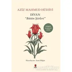 Divan - Bütün Şiirleri - Aziz Mahmud Hüdayi - Kapı Yayınları