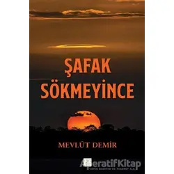 Şafak Sökmeyince - Mevlüt Demir - Zinde Yayıncılık