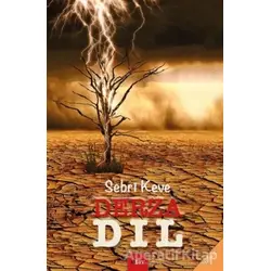 Derza Dil - Sebri Keve - Sitav Yayınevi