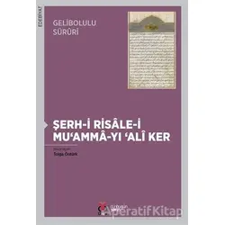 Gelibolulu Süruri - Şerh-i Risale-i Muamma-yı Ali Ker - Tolga Öntürk - DBY Yayınları