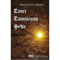 Tanrı Tanımayan Şehir - Mahmut Ferhat Alptekin - Gece Kitaplığı