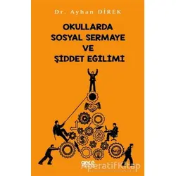 Okullarda Sosyal Sermaye ve Şiddet Eğilimi - Ayhan Direk - Gece Kitaplığı