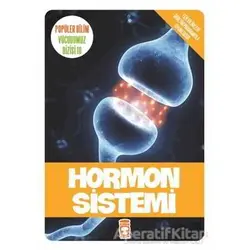 Hormon Sistemi - Kolektif - Timaş Çocuk - İlk Çocukluk