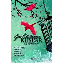 Göçe Katılmayan Kuşlar - Özlem Aydın - Gece Kitaplığı