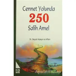 Cennet Yolunda 250 Salih Amel - Seyyid Bin Hüseyin El-Affani - Karınca & Polen Yayınları