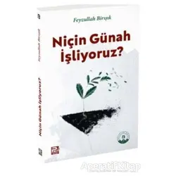 Niçin Günah İşliyoruz? - Feyzullah Birışık - Karınca & Polen Yayınları