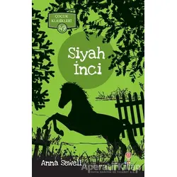 Siyah İnci - Çocuk Klasikleri 49 - Anna Sewell - Dahi Çocuk Yayınları