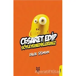 Cesaret Edip Söyleyemediklerimiz - Dilek Şişman - Yason Yayıncılık