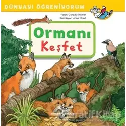 Ormanı Keşfet - Dünyayı Öğreniyorum - Cordula Thörner - İş Bankası Kültür Yayınları