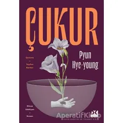 Çukur - Pyun Hye-young - Doğan Kitap