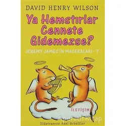 Ya Hemstırlar Cennete Gidemezse? - David Henry Wilson - İletişim Yayınevi
