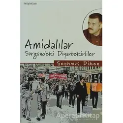 Amidalılar - Şeyhmus Diken - İletişim Yayınevi