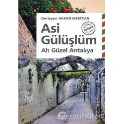 Asi Gülüşlüm - Hakan Mertcan - İletişim Yayınevi