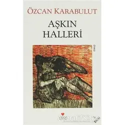 Aşkın Halleri - Özcan Karabulut - Can Yayınları