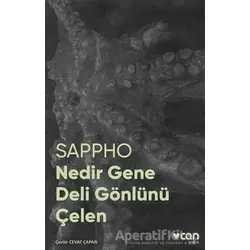 Nedir Gene Deli Gönlünü Çelen - Sappho - Can Yayınları