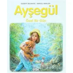 Ayşegül 48 - Özel Bir Gün - Gilbert Delahaye - Yapı Kredi Yayınları