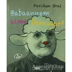 Babaannem Kime Benziyor - Feridun Oral - Yapı Kredi Yayınları