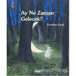 Ay Ne Zaman Gelecek - Feridun Oral - Yapı Kredi Yayınları
