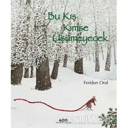 Bu Kış Kimse Üşümeyecek - Feridun Oral - Yapı Kredi Yayınları