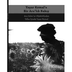 Yaşar Kemal’e Bir Ara’lık Bakış - Kolektif - Yapı Kredi Yayınları