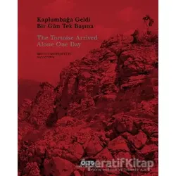 Kaplumbağa Geldi Bir Gün Tek Başına - Judith Desmyttere - Yapı Kredi Yayınları