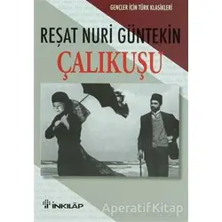 Çalıkuşu - Reşat Nuri Güntekin - İnkılap Kitabevi