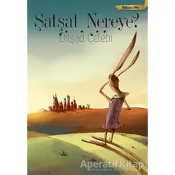 Şatşat Nereye - Yıldızsız Ülke - Dilşad Çelebi - Doğan Egmont Yayıncılık