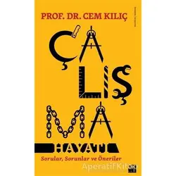 Çalışma Hayatı - Cem Kılıç - Doğan Kitap