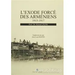 Lexode Force Des Armeniens 1915-1917 - Kemal Çiçek - Türk Tarih Kurumu Yayınları