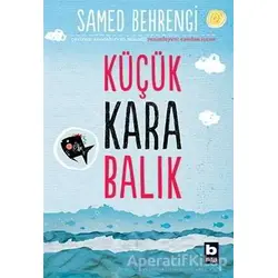Küçük Kara Balık - Samed Behrengi - Bilgi Yayınevi