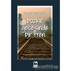 Bozkır Gecesinde Bir Tren - Berat Alanyalı - Bilgi Yayınevi