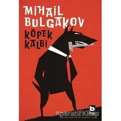 Köpek Kalbi - Mihail Afanasyeviç Bulgakov - Bilgi Yayınevi