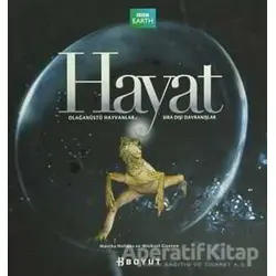 Hayat - Martha Holmes - Boyut Yayın Grubu
