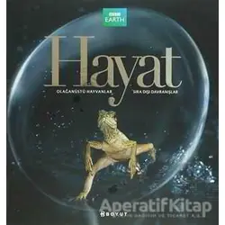 Hayat - Martha Holmes - Boyut Yayın Grubu