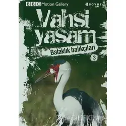 Vahşi Yaşam 2 - Bataklık Balıkçıları - Tony Whitehead - Boyut Yayın Grubu