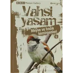 Vahşi Yaşam 2 - Meyve ve Fındık Kemirgenleri - Kolektif - Boyut Yayın Grubu