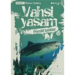Vahşi Yaşam 2 - Primitif Balıklar - Kolektif - Boyut Yayın Grubu