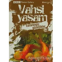 Vahşi Yaşam 2 - Esrarengiz Güzellikler - Kolektif - Boyut Yayın Grubu
