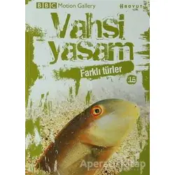 Vahşi Yaşam 2 - Farklı Türler - John Dawes - Boyut Yayın Grubu