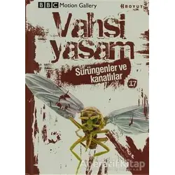 Vahşi Yaşam 2 - Sürüngenler ve Kanatlılar - Rod Preston - Boyut Yayın Grubu
